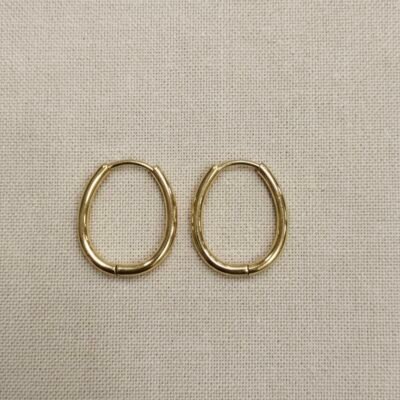 Trending oval hoops earring ATE687